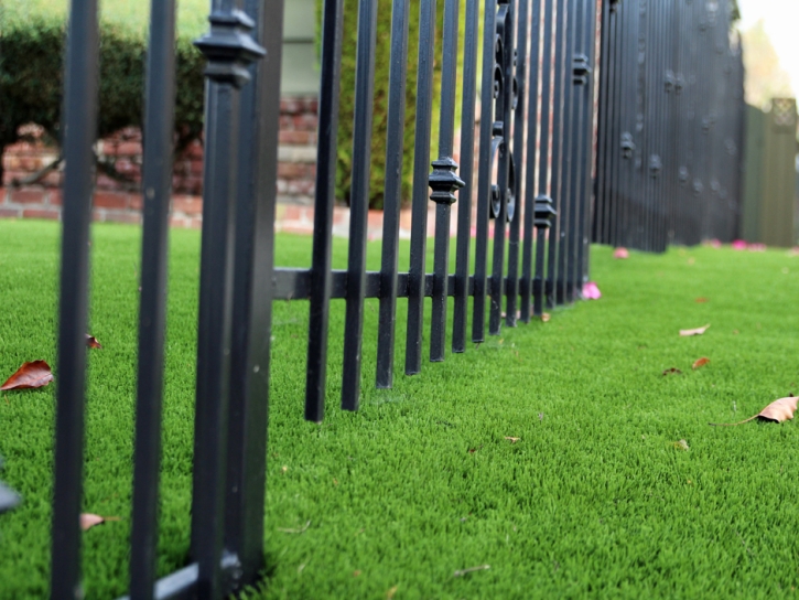 Synthetic Turf Golinda Texas Lawn Front Yard