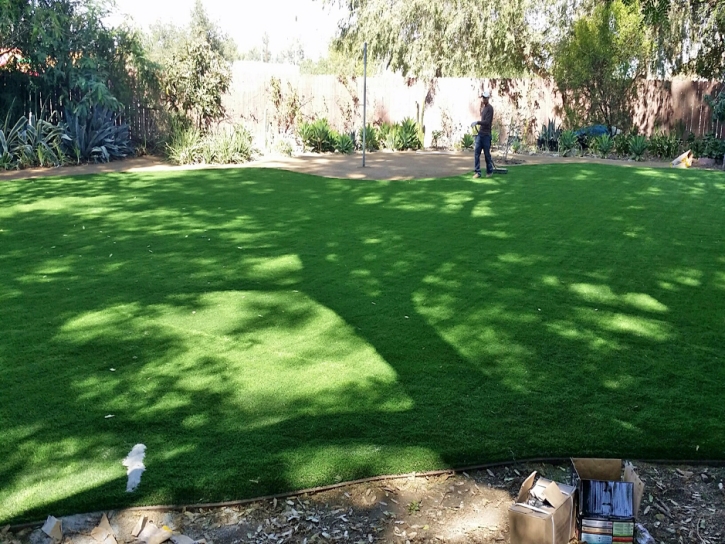 Synthetic Turf Harker Heights Texas Landscape Back Yard