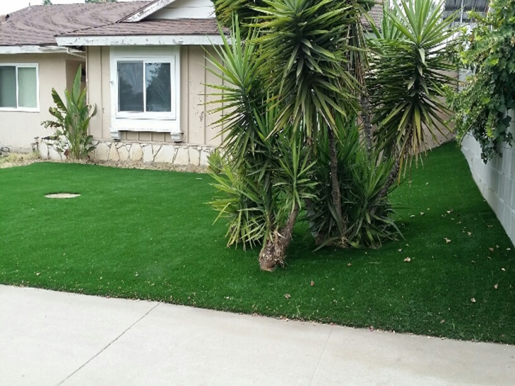 Synthetic Turf Harker Heights Texas Landscape Front Yard