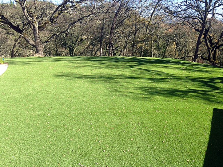 Synthetic Turf Hewitt Texas Landscape Parks