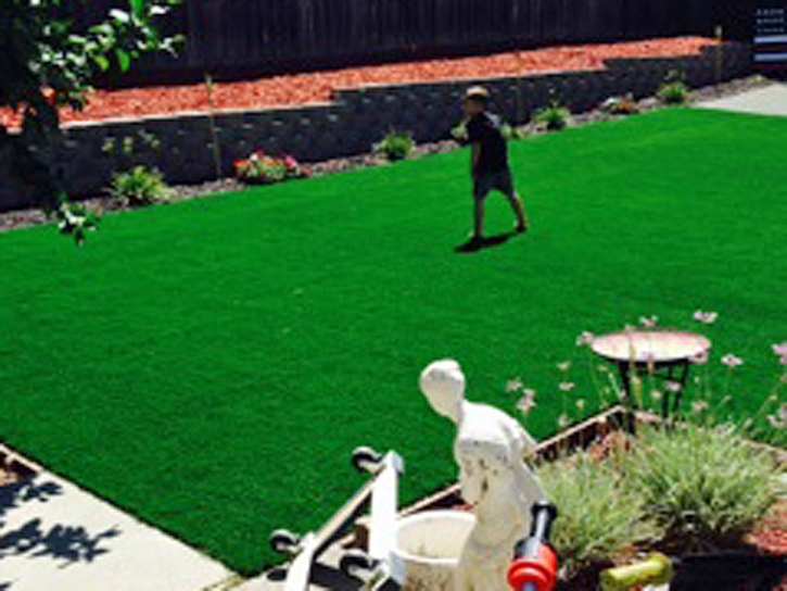 Synthetic Turf Holland Texas Lawn Back Yard