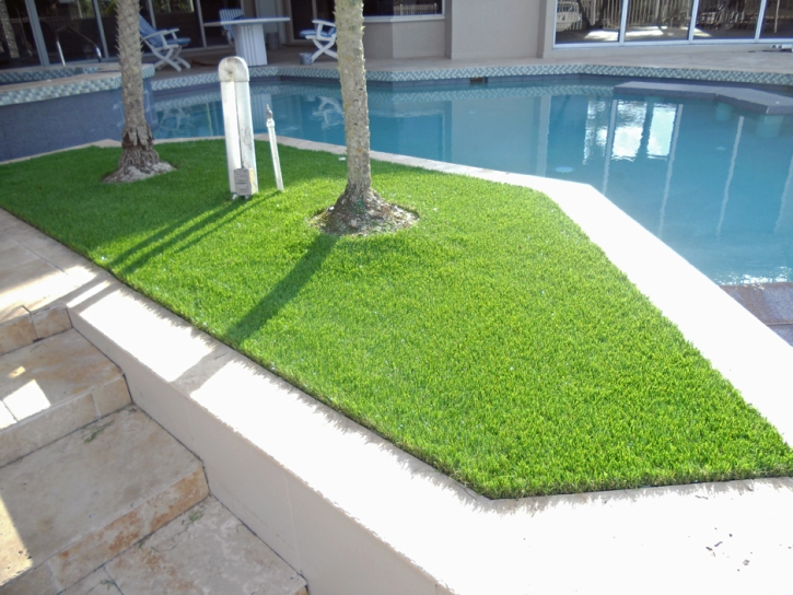 Synthetic Turf Jollyville Texas Landscape Swimming Pools