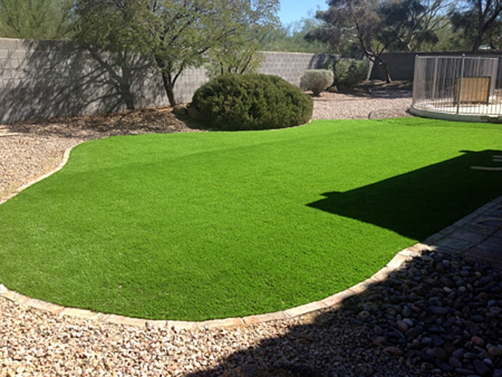 Synthetic Turf La Vernia Texas Landscape Back Yard