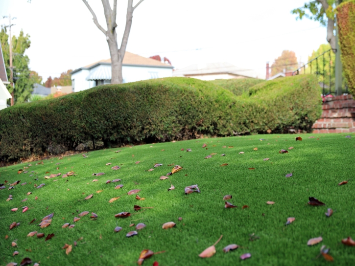 Synthetic Turf Leon Valley Texas Landscape Front Yard