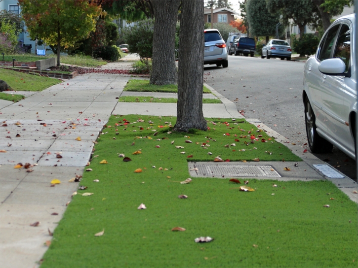 Synthetic Turf Lometa Texas Landscape Front Yard