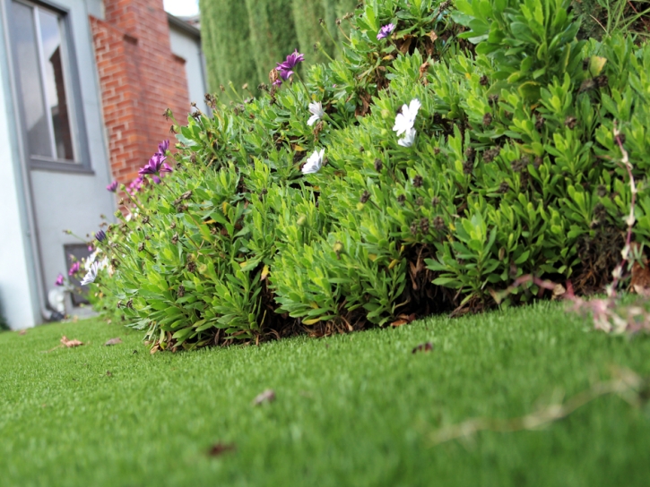 Synthetic Turf Moody Texas Landscape Front Yard