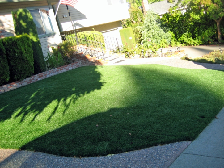 Synthetic Turf Morgans Point Resort Texas Lawn Front Yard