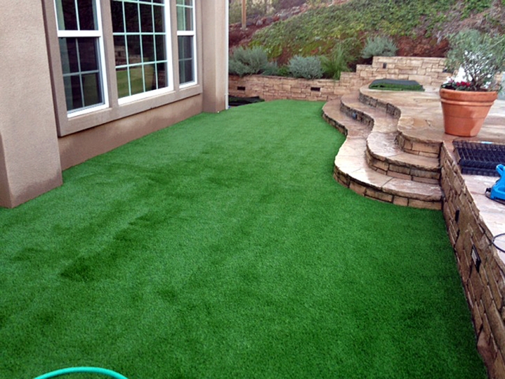 Synthetic Turf Nesbitt Texas Landscape Back Yard