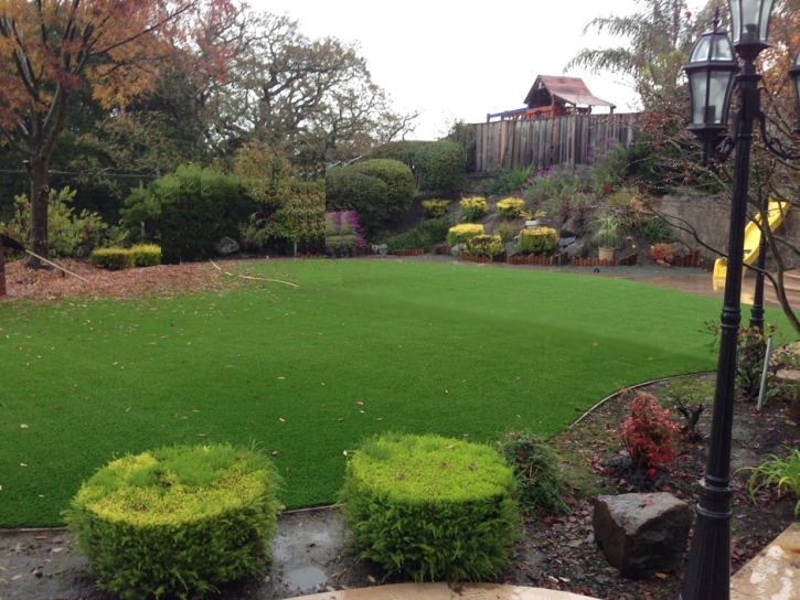 Synthetic Turf Saint Hedwig Texas Landscape Back Yard