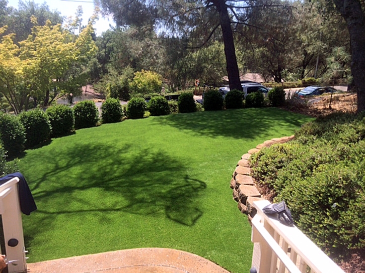 Synthetic Turf Scenic Oaks Texas Lawn Back Yard