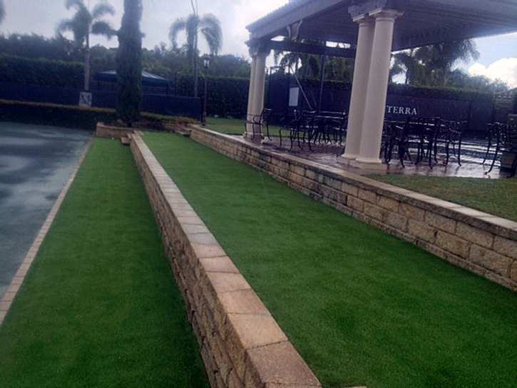 Synthetic Turf Smiley Texas Lawn Commercial Landscape