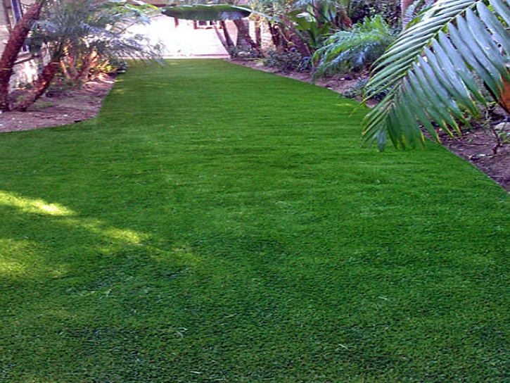 Synthetic Turf Snook Texas Landscape Back Yard